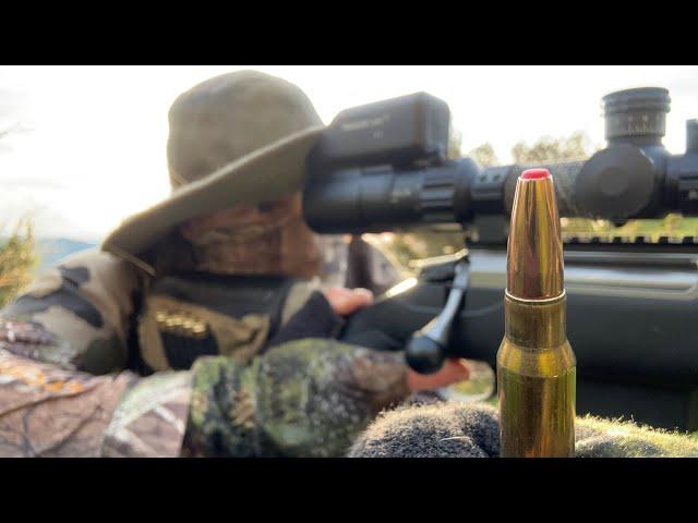 Silent And Deadly | 11 Sniper Shots | 308 Subsonic  Rounds