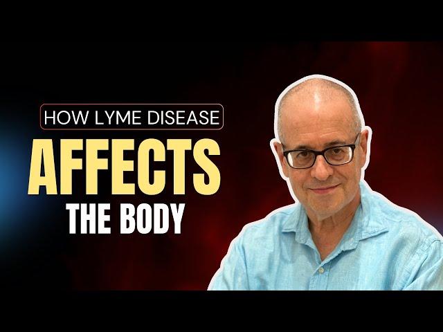 What is Lyme disease doing in your body? How Lyme disease affects the body