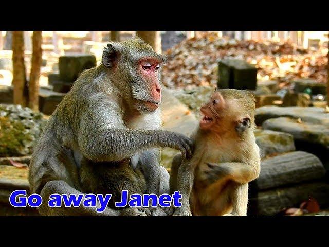 OMG ! Jane boring with Janet hurt Janna, Jane fight Janet cry very loud