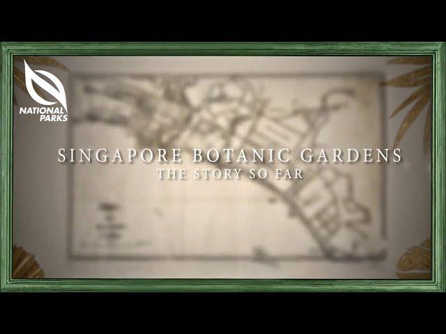 Singapore Botanic Gardens: The Story So Far