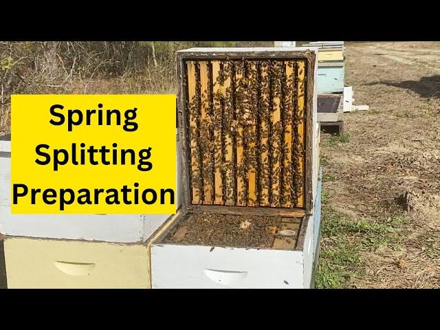 Beekeeping Down South