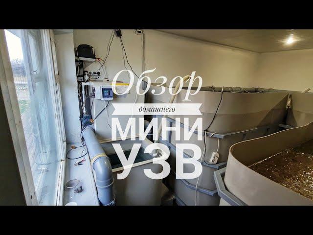 Обзор домашнего мини УЗВ