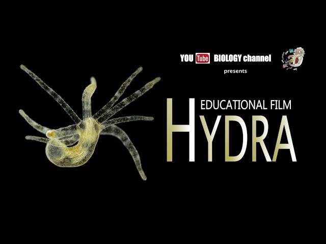 HYDRA Scientific film