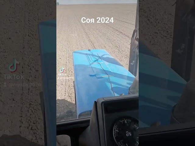 Соя2024 #весна2024