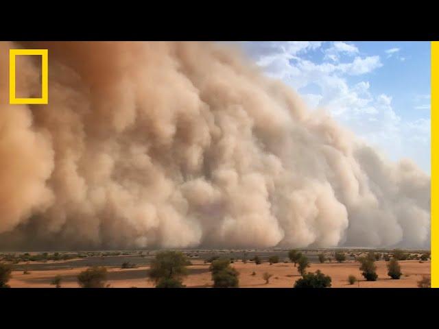 Comment se forment les murs de sable chargés d'électricité du Sahara ?