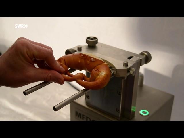 Die Butterbrezel-Maschine