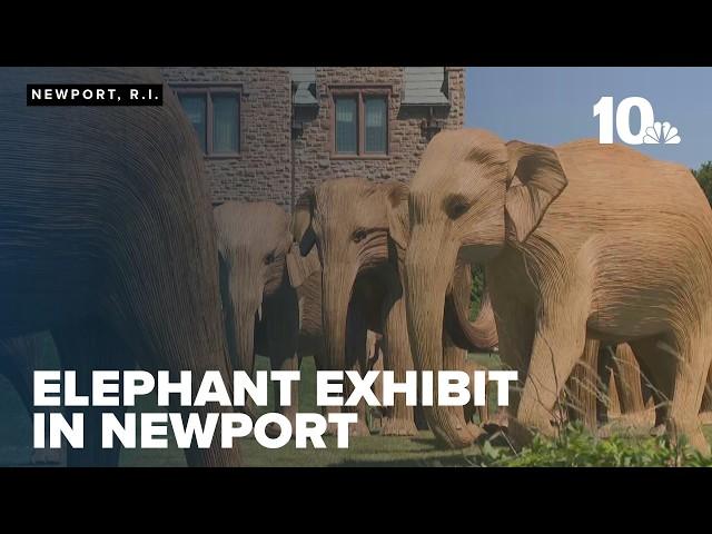 Elephants take over Newport to promote wildlife