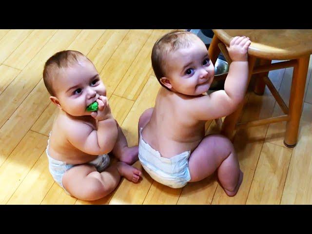 1 Hours with Funny Baby Videos 2023 - World's Huge Funny Babies Videos Compilation