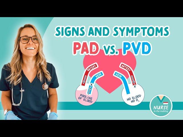 PAD vs. PVD | Peripheral Arterial Disease vs Peripheral Venous Disease  | Signs & Symptoms