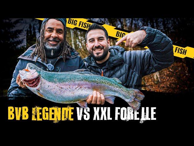 BVB Legende vs XXL Forelle