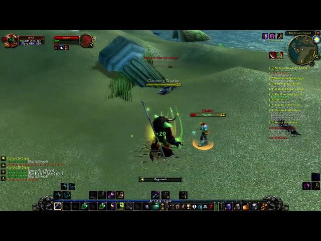 Why Druids are GREAT in PvP Classic WoW