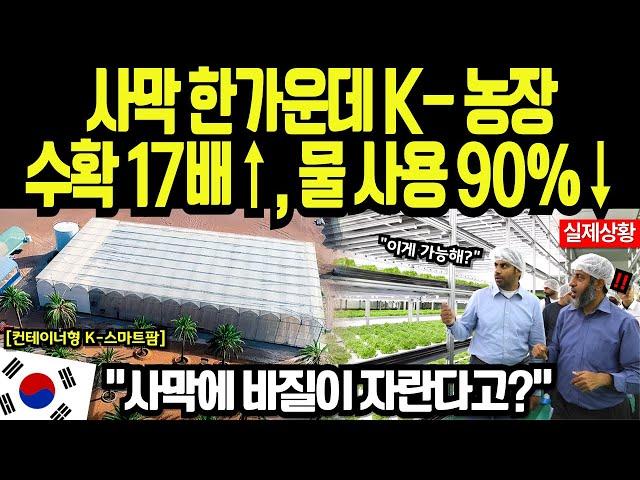 [해외감동사연] “중동 농부가 태블릿으로 농사 짓는다고?”… 한국 기술이 만든 사막의 기적