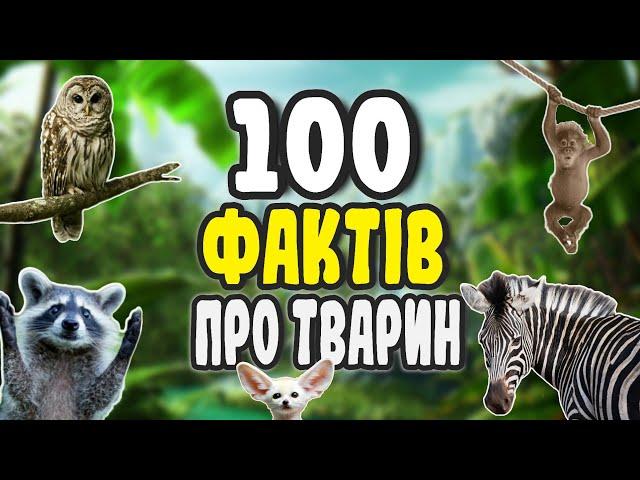 100 ФАКТІВ ПРО ТВАРИН | ЦІКАВО ЗНАТИ