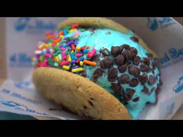 Crazy Ice Cream Sandwiches - THE BAKED BEAR