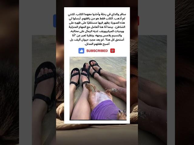 الكلب على الشاطئ وأنا في البيت #قصص #قصص_واقعية #اكسبلور #حيوانات #عجائب #غرائب #كلاب #كلب #شاطئ