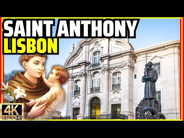 Saint Anthony's Life Story: From Lisbon to Padua