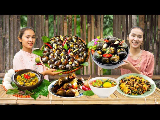 Harvesting Field Snails & Secrets to Steaming Delicious Snails | Linh Dan Harvest