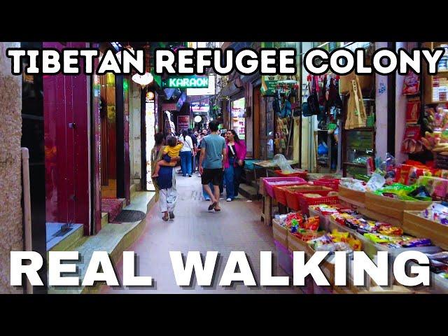 Ultimate 4K Walk in Tibetan Refugee Colony Majnu Ka Tila, Delhi India