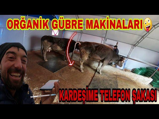 KARDEŞİME MİNİK ŞAKA5 DK TUVALETİNİ TUT BE İNEĞİM!!!KAÇAN AV TAVŞAN