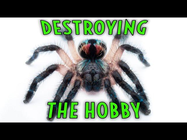 5 DANGEROUS Ideas DESTROYING the Tarantula Hobby!