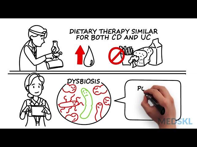 Gastroenterology - Dietary measures to lower inflammation - Whiteboard Video - Barbara Olendzk