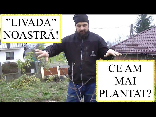 EXPLICAȚII ȘI PLIMBARE PRIN ”LIVADA” NOASTRĂ! CE AM MAI PLANTAT ?57 POMI ȘI VIE2022! #OrășeanLaȚară!