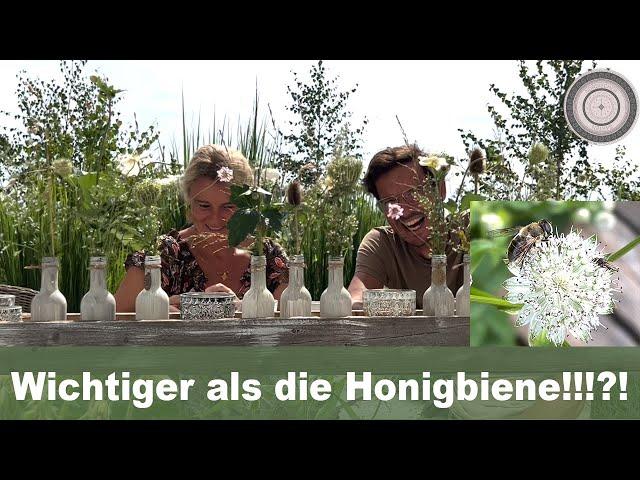 Das hättest du nie gedacht, wichtiger als die Honigbiene?? Die Schwebfliege, besondere Tischdeko