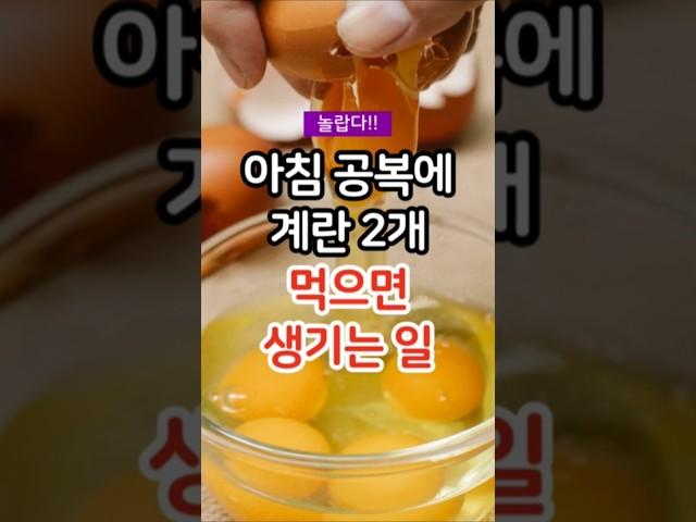 아침 공복에 계란 2개 먹으면 생기는 일 /계란 효능 #건강 #건강정보 #건강상식
