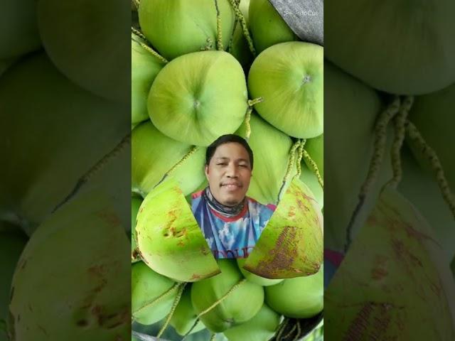 coconuts #trend #transition  #shortvedio