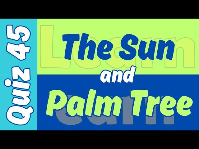 Quiz No.45: The Sun & Palm Tree #sun #palm #palmeiras #quiz #learnearn