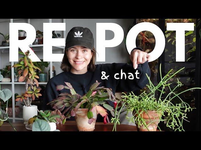 Repot and chat with me - repotting my rootbound houseplants into thrifted planters