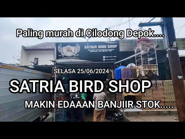 Update stok satria bird shop makin edaaan banjiir stok