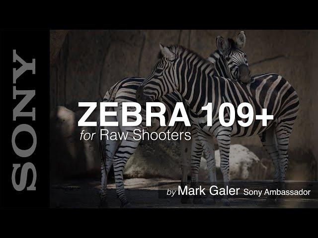 Zebra 109+ for Sony Raw Photographers