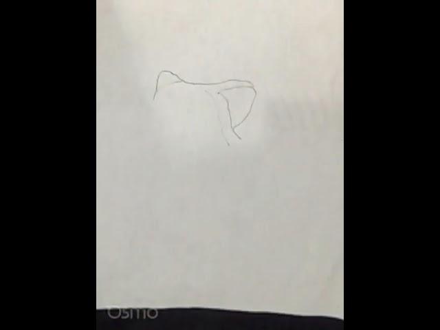 Nazir,s draw video