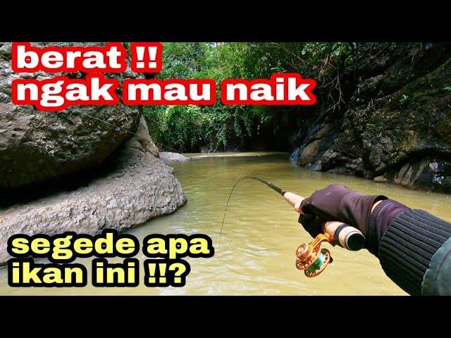 mancing ikan nilem spot tersembunyi isinya full babon