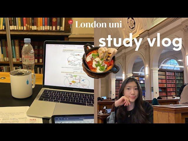 exam week vloglots of studying and cooking, london uni diaries