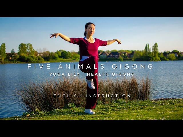 Five Animals Qigong with English Instruction | Wu Xin Qi