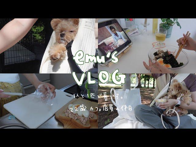 VLOG.Japanese woman.dogs became familyliving alone.morning picnic