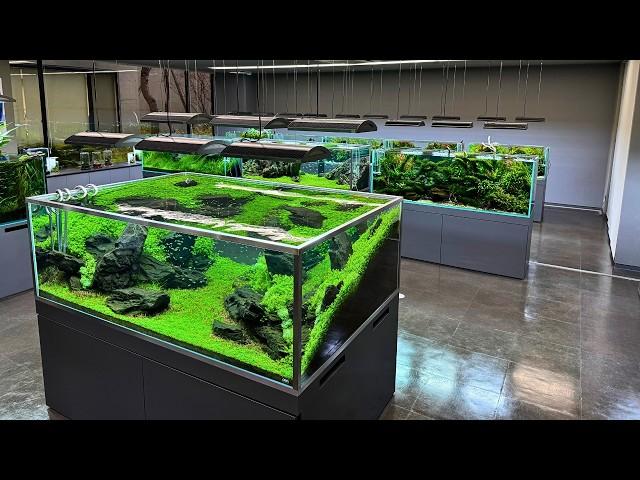 FULL TOUR OF THE ADA NATURE AQUARIUM GALLERY IN JAPAN!