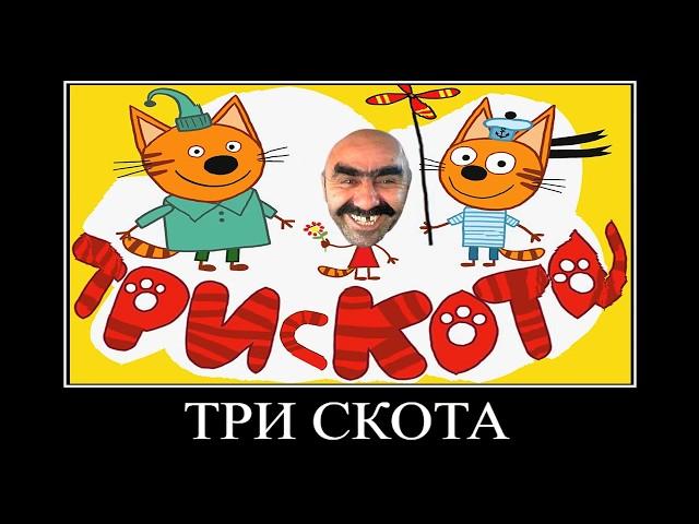 ПОПРОБУЙ НЕ ЗАСМЕЯТЬСЯ #16  ТРИ КОТА