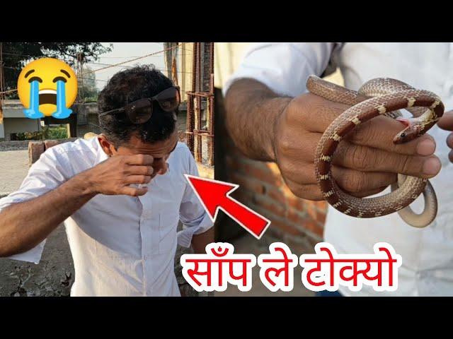   साँप समाउँदा भयो ठूलो घटना    हात मा टोक्यो साँप ले Live snake bite