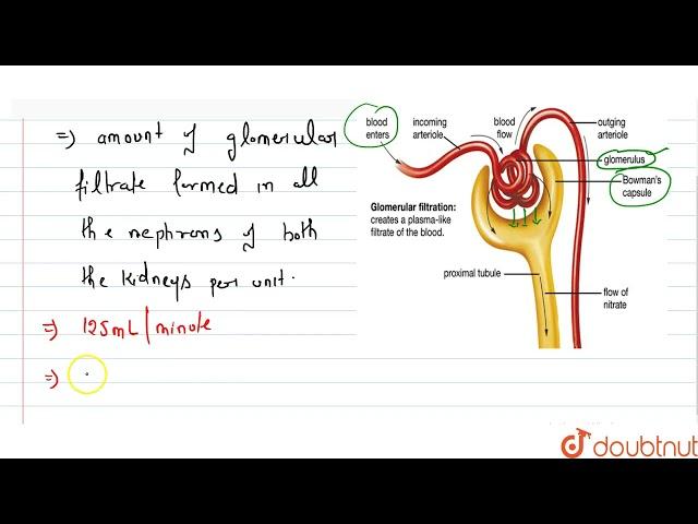 Define Glomerular Filtration Rate (GFR)  | 11 | EXCRETORY PRODUCTS AND THEIR ELIMINATION | BIOLO...