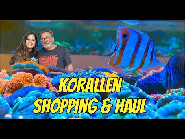 Neue Korallen kaufen ️ für meinen 1000 Liter Reeftank - mit Beratung von Jonny & Unboxing zu Hause