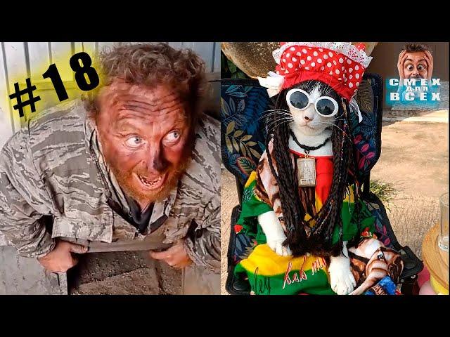 JOKES 2024 funny VIDEOS FREAKS tiktok Funny videos No.18 mental test, try not to laugh