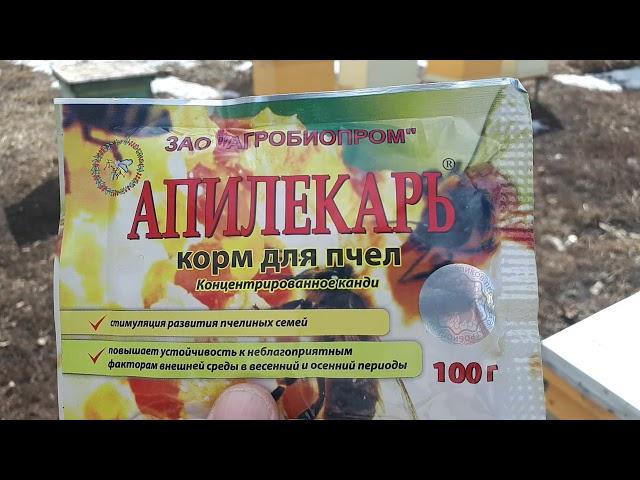 решил применить корм для пчел Апилекарь от Агробиопром. Будет-ли польза? Или пустая трата денег?