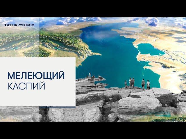 Экологическая бомба замедленного действия: Каспийское море