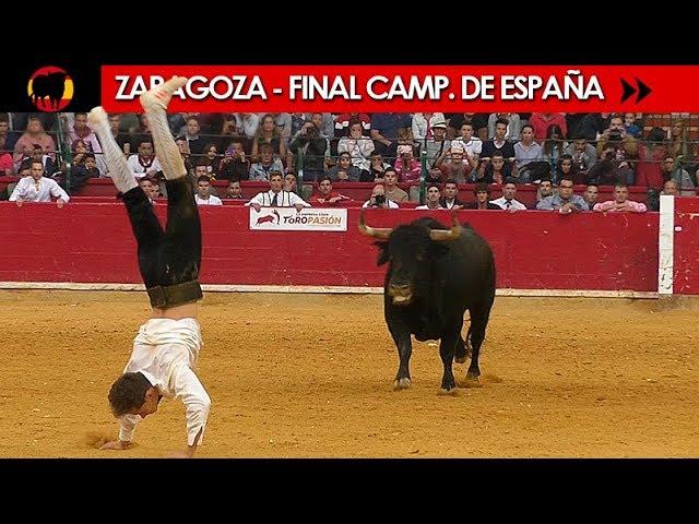 FINAL DEL CAMPEONATO DE ESPAÑA DE RECORTADORES CON TOROS 2017 - ZARAGOZA 12/10/2017