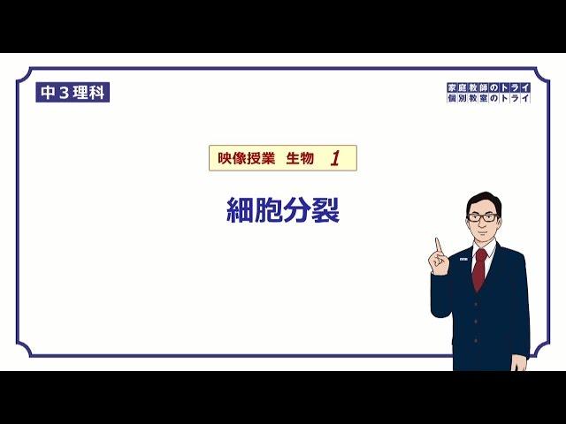 【中３　理科　生物】　細胞分裂　（１４分）