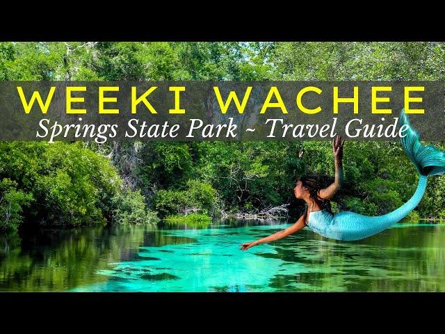 Weeki Wachee Springs State Park & Mermaid Show  | Travel Guide ‍️