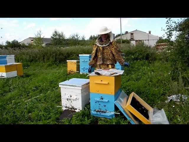 Ульи для пчел.